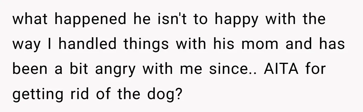 what happened he isn't to happy with the way I handled things with his mom and has been a bit angry with me since.. AITA for getting rid of the...