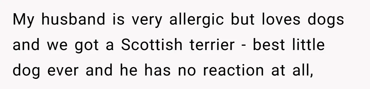 My husband is very allergic but loves dogs and we got a Scottish terrier - best little dog ever and he has no reaction at all,