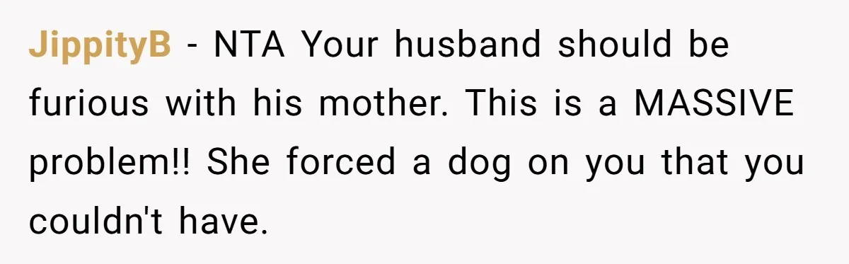 JippityB − NTA Your husband should be furious with his mother. This is a MASSIVE problem!! She forced a dog on you that you couldn't have.