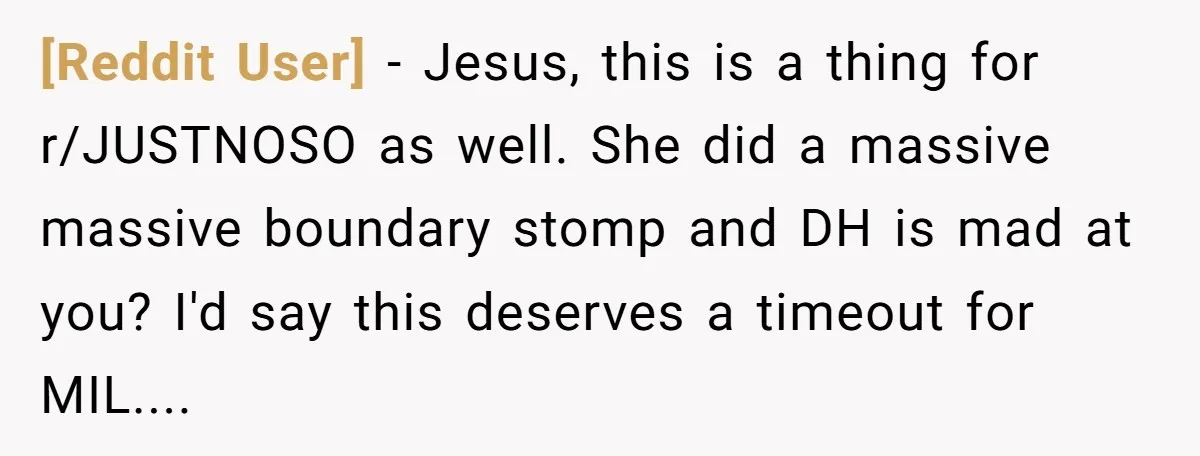 [Reddit User] − Jesus, this is a thing for r/JUSTNOSO as well. She did a massive massive boundary stomp and DH is mad at you? I'd say this deserves a...