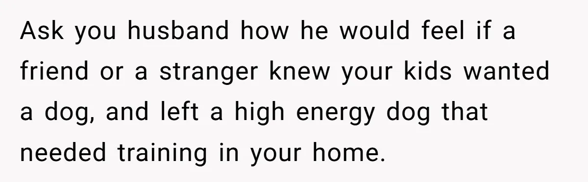 Ask you husband how he would feel if a friend or a stranger knew your kids wanted a dog, and left a high energy dog that needed training in your...