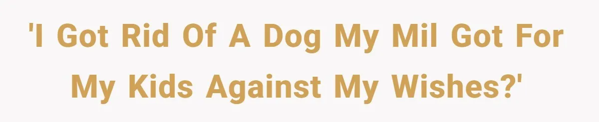 'I got rid of a dog my MIL got for my kids against my wishes?'