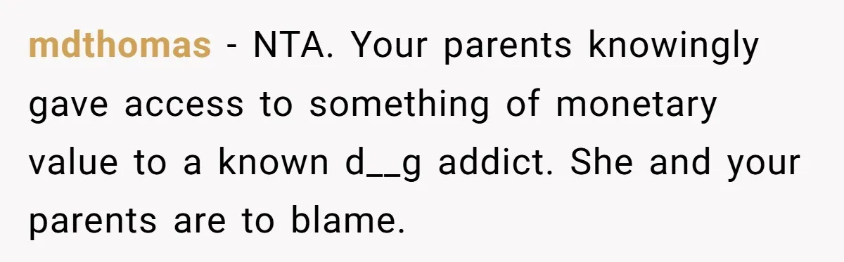 mdthomas − NTA. Your parents knowingly gave access to something of monetary value to a known d__g addict. She and your parents are to blame.