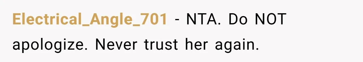 Electrical_Angle_701 − NTA. Do NOT apologize. Never trust her again.