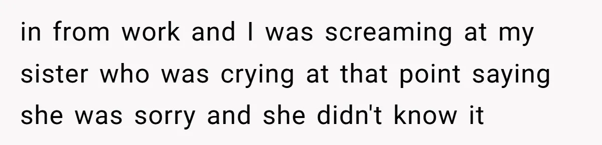 in from work and I was screaming at my sister who was crying at that point saying she was sorry and she didn't know it