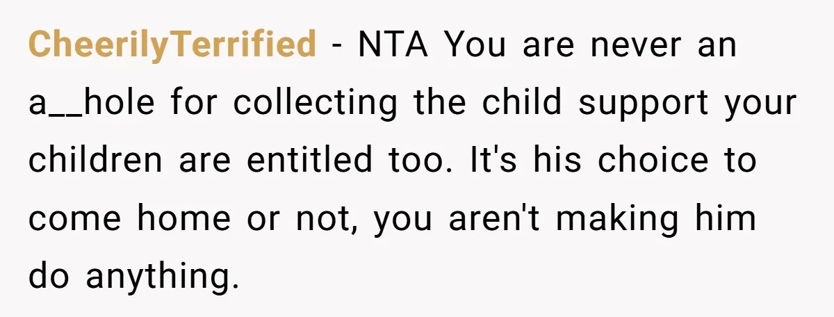 She Considered Helping Her Ex Avoid a Travel Ban, Even Though He Owed $16,000 in Child Support CheerilyTerrified − NTA You are never an a__hole for collecting the child support your children are entitled too. It's his choice to come home or not, you aren't making him...