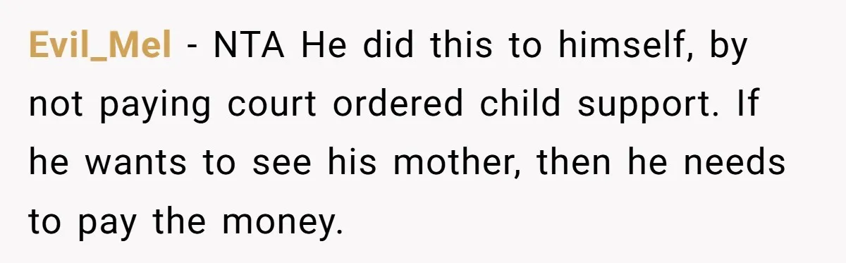 She Considered Helping Her Ex Avoid a Travel Ban, Even Though He Owed $16,000 in Child Support Evil_Mel − NTA He did this to himself, by not paying court ordered child support. If he wants to see his mother, then he needs to pay the money.