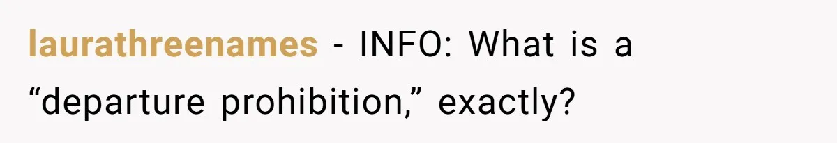 She Considered Helping Her Ex Avoid a Travel Ban, Even Though He Owed $16,000 in Child Support laurathreenames − INFO: What is a “departure prohibition,” exactly?