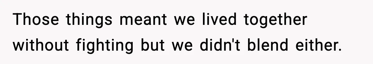Those things meant we lived together without fighting but we didn't blend either.