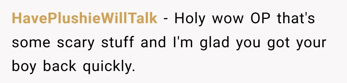 Finding Peace After a Terrifying Custody Scare With a Deeply Unwell Grandparent HavePlushieWillTalk − Holy wow OP that's some scary stuff and I'm glad you got your boy back quickly.