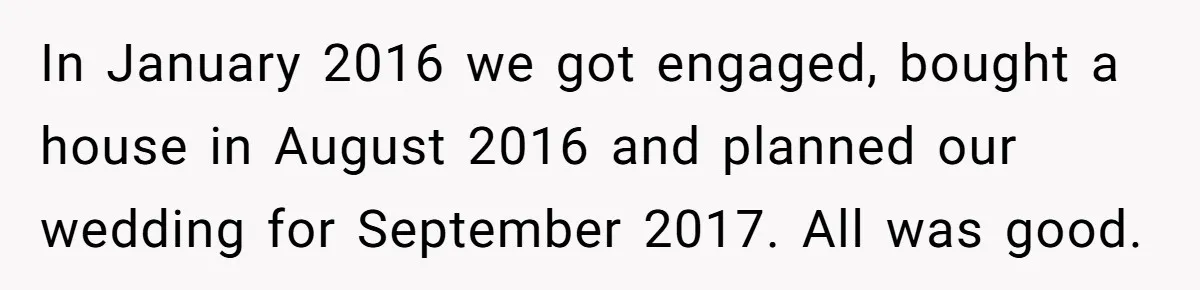 In January 2016 we got engaged, bought a house in August 2016 and planned our wedding for September 2017. All was good.