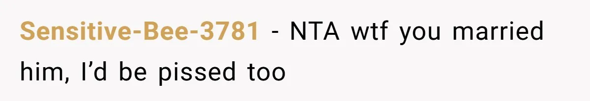 Sensitive-Bee-3781 − NTA wtf you married him, I’d be pissed too
