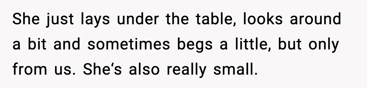 She just lays under the table, looks around a bit and sometimes begs a little, but only from us. She‘s also really small.