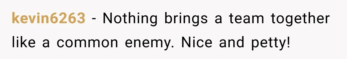 Colleagues Team Up After One Coworker Claims Every Single Holiday Day Off kevin6263 − Nothing brings a team together like a common enemy. Nice and petty!