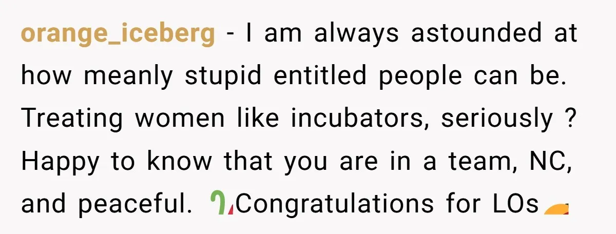 orange_iceberg − I am always astounded at how meanly stupid entitled people can be. Treating women like incubators, seriously ? Happy to know that you are in a team, NC,...