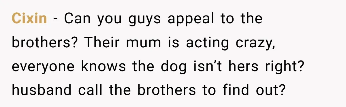 Mom-in-Law Leaves the House But Decides to "Pack" the Family Dog Cixin − Can you guys appeal to the brothers? Their mum is acting crazy, everyone knows the dog isn’t hers right? husband call the brothers to find out?