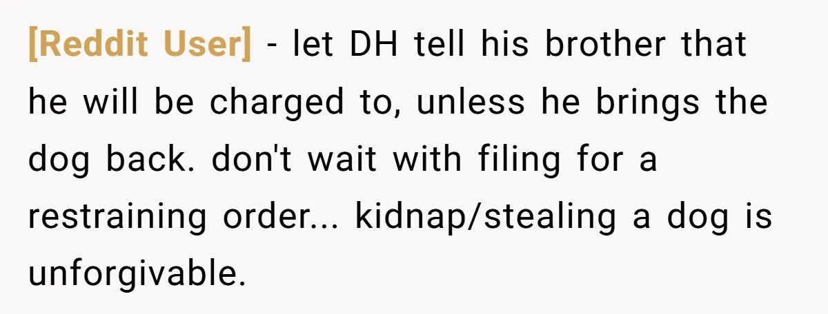 [Reddit User] − let DH tell his brother that he will be charged to, unless he brings the dog back. don't wait with filing for a restraining order... kidnap/stealing a...