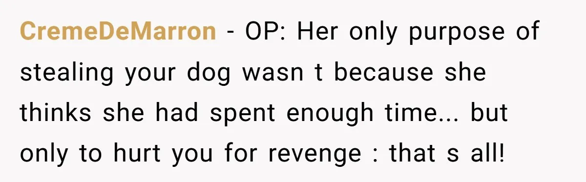 Mom-in-Law Leaves the House But Decides to "Pack" the Family Dog CremeDeMarron − OP: Her only purpose of stealing your dog wasn t because she thinks she had spent enough time... but only to hurt you for revenge : that s...