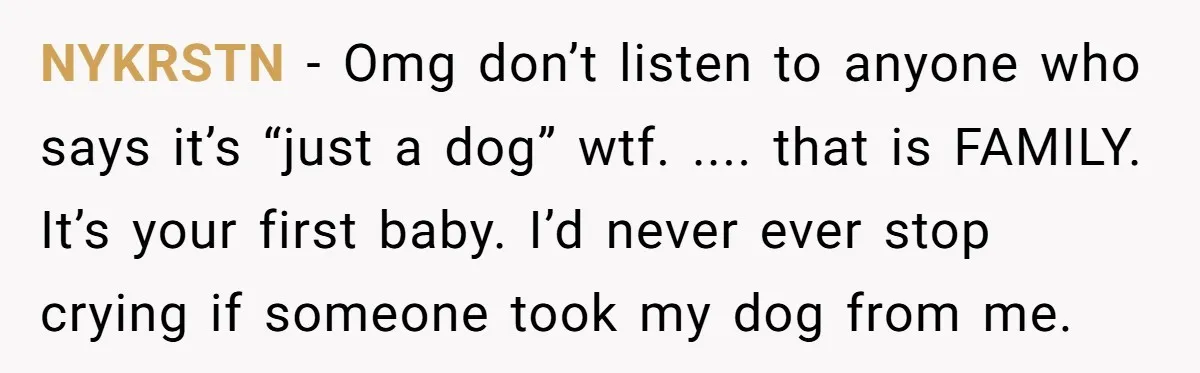 Mom-in-Law Leaves the House But Decides to "Pack" the Family Dog NYKRSTN − Omg don’t listen to anyone who says it’s “just a dog” wtf. .... that is FAMILY. It’s your first baby. I’d never ever stop crying if someone took...