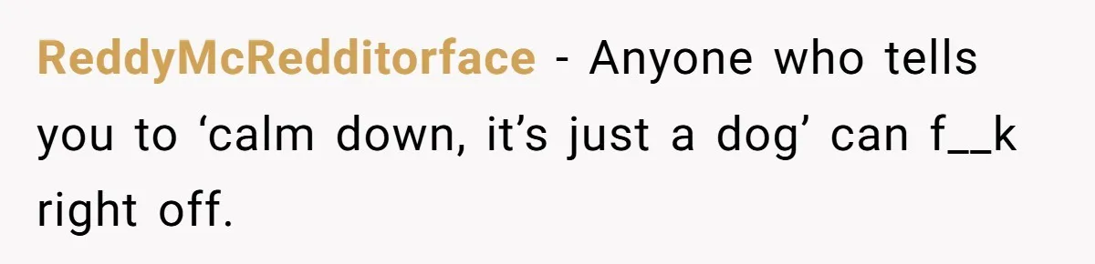 Mom-in-Law Leaves the House But Decides to "Pack" the Family Dog ReddyMcRedditorface − Anyone who tells you to ‘calm down, it’s just a dog’ can f__k right off.