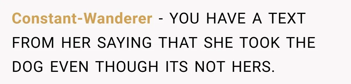 Mom-in-Law Leaves the House But Decides to "Pack" the Family Dog Constant-Wanderer − YOU HAVE A TEXT FROM HER SAYING THAT SHE TOOK THE DOG EVEN THOUGH ITS NOT HERS.