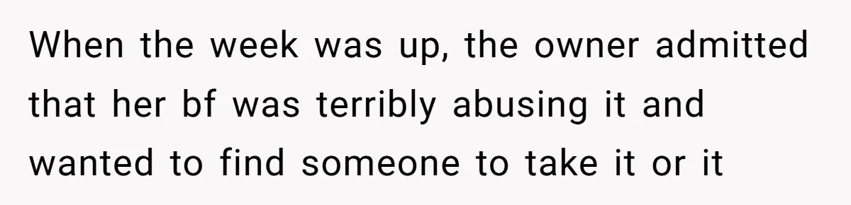 Mom-in-Law Leaves the House But Decides to "Pack" the Family Dog When the week was up, the owner admitted that her bf was terribly abusing it and wanted to find someone to take it or it