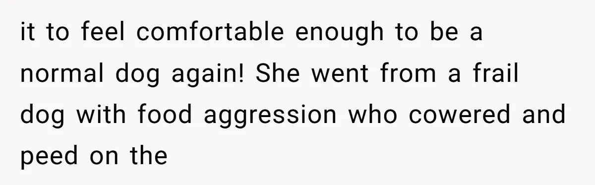 Mom-in-Law Leaves the House But Decides to "Pack" the Family Dog it to feel comfortable enough to be a normal dog again! She went from a frail dog with food aggression who cowered and peed on the