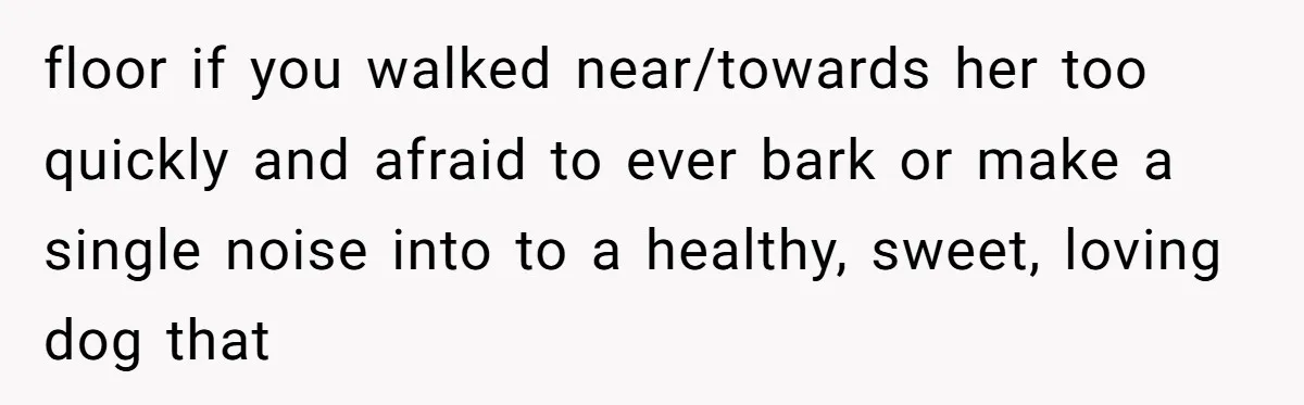 Mom-in-Law Leaves the House But Decides to "Pack" the Family Dog floor if you walked near/towards her too quickly and afraid to ever bark or make a single noise into to a healthy, sweet, loving dog that