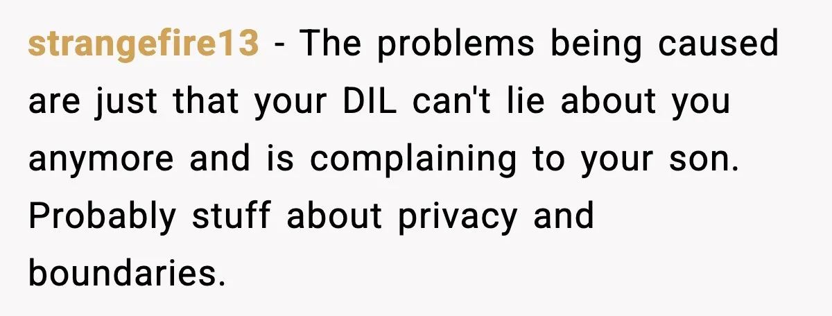strangefire13 - The problems being caused are just that your DIL can't lie about you anymore and is complaining to your son. Probably stuff about privacy and boundaries.