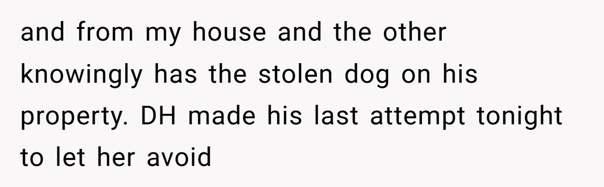Mom-in-Law Leaves the House But Decides to "Pack" the Family Dog and from my house and the other knowingly has the stolen dog on his property. DH made his last attempt tonight to let her avoid