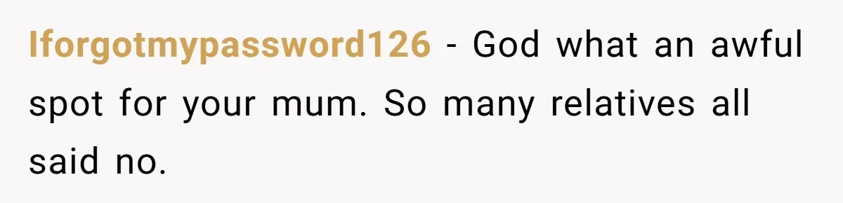 20-Year-Old Daughter Denies Being Last-Resort Guardian for Three Younger Half-Siblings Iforgotmypassword126 − God what an awful spot for your mum. So many relatives all said no.