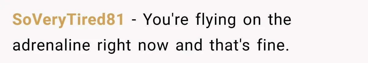 SoVeryTired81 − You're flying on the adrenaline right now and that's fine.