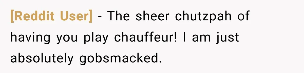 [Reddit User] − The sheer chutzpah of having you play chauffeur! I am just absolutely gobsmacked.