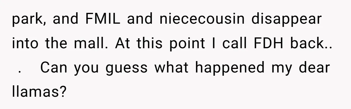 park, and FMIL and niececousin disappear into the mall. At this point I call FDH back..  .   Can you guess what happened my dear llamas?