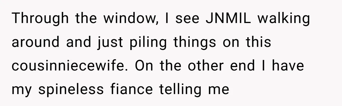Through the window, I see JNMIL walking around and just piling things on this cousinniecewife. On the other end I have my spineless fiance telling me