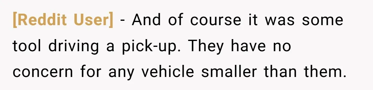 [Reddit User] − And of course it was some tool driving a pick-up. They have no concern for any vehicle smaller than them.