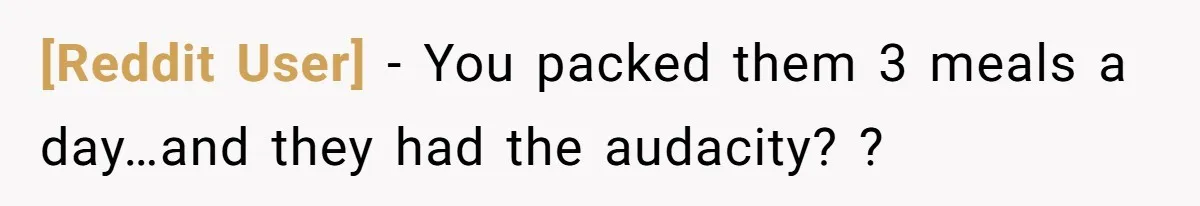 [Reddit User] − You packed them 3 meals a day…and they had the audacity? ?