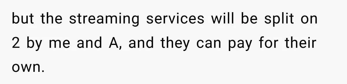 When Your Boyfriend’s Roommate Does All the Work But Gets None of the Thanks but the streaming services will be split on 2 by me and A, and they can pay for their own.
