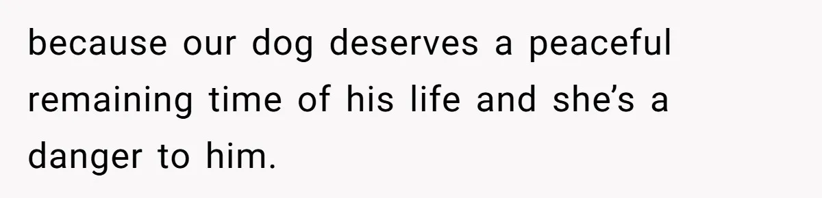 because our dog deserves a peaceful remaining time of his life and she’s a danger to him.