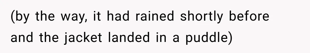 (by the way, it had rained shortly before and the jacket landed in a puddle)