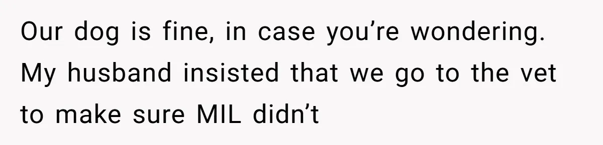 Our dog is fine, in case you’re wondering. My husband insisted that we go to the vet to make sure MIL didn’t