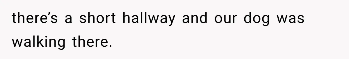 there’s a short hallway and our dog was walking there.