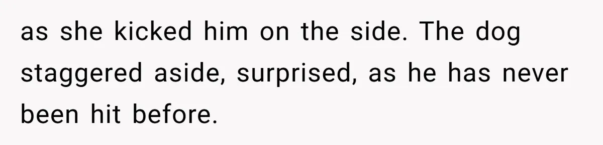 as she kicked him on the side. The dog staggered aside, surprised, as he has never been hit before.