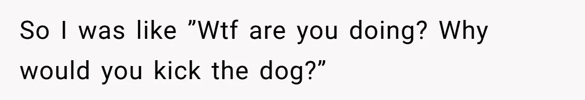 So I was like ”Wtf are you doing? Why would you kick the dog?”