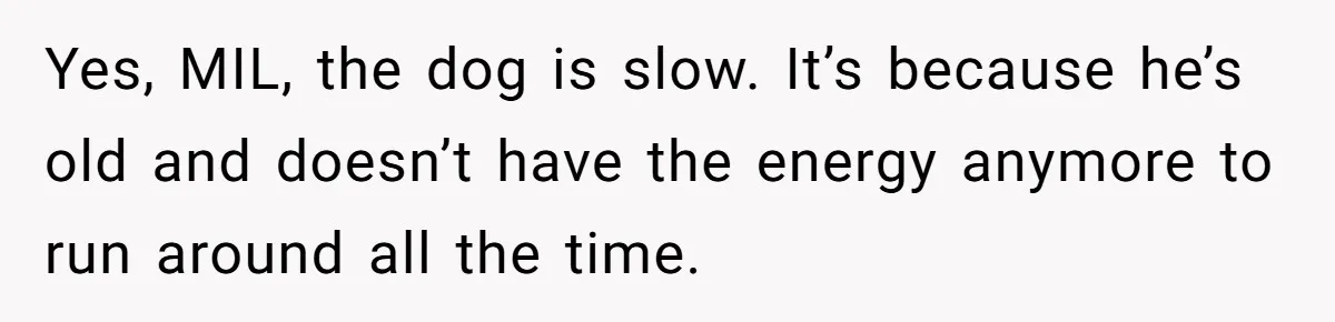 Yes, MIL, the dog is slow. It’s because he’s old and doesn’t have the energy anymore to run around all the time.