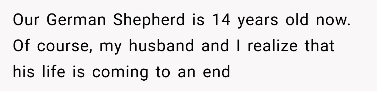 Our German Shepherd is 14 years old now. Of course, my husband and I realize that his life is coming to an end