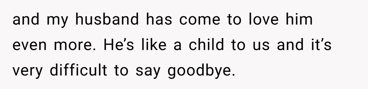 and my husband has come to love him even more. He’s like a child to us and it’s very difficult to say goodbye.