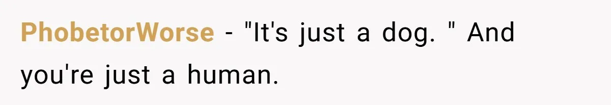 PhobetorWorse − "It's just a dog. " And you're just a human.