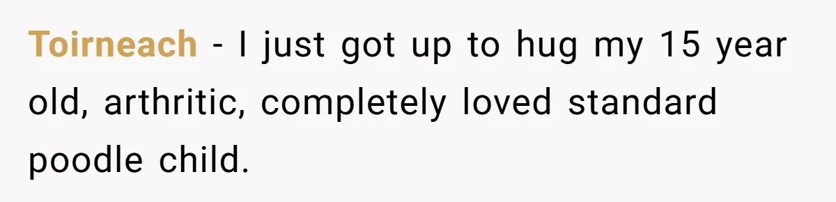 Toirneach − I just got up to hug my 15 year old, arthritic, completely loved standard poodle child.