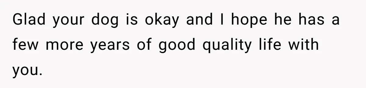 Glad your dog is okay and I hope he has a few more years of good quality life with you.